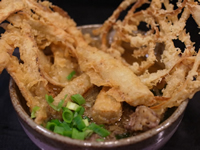 夜限定「肉ごぼう三昧」