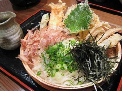 ぶっかけ野菜天